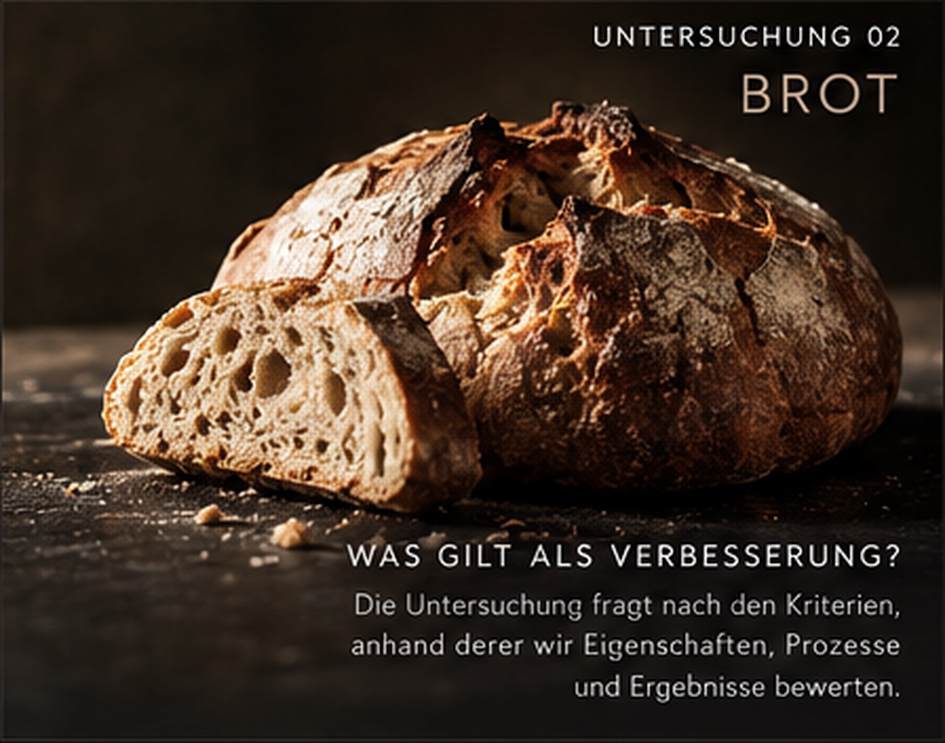 Anschnitt eines Brotes mit großen, unregelmäßigen Löchern in der Krume.